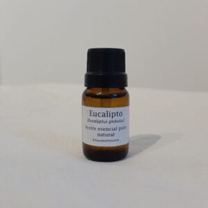 Eucalipto